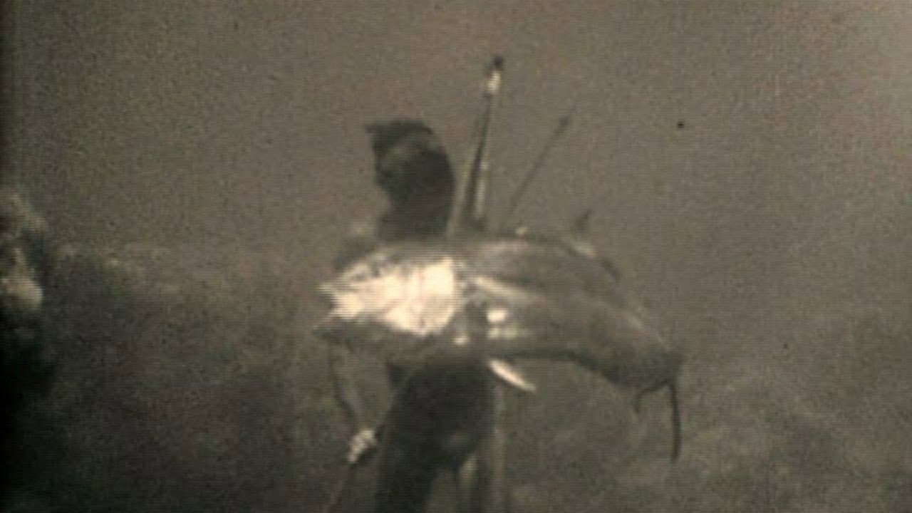 Frédéric Dumas