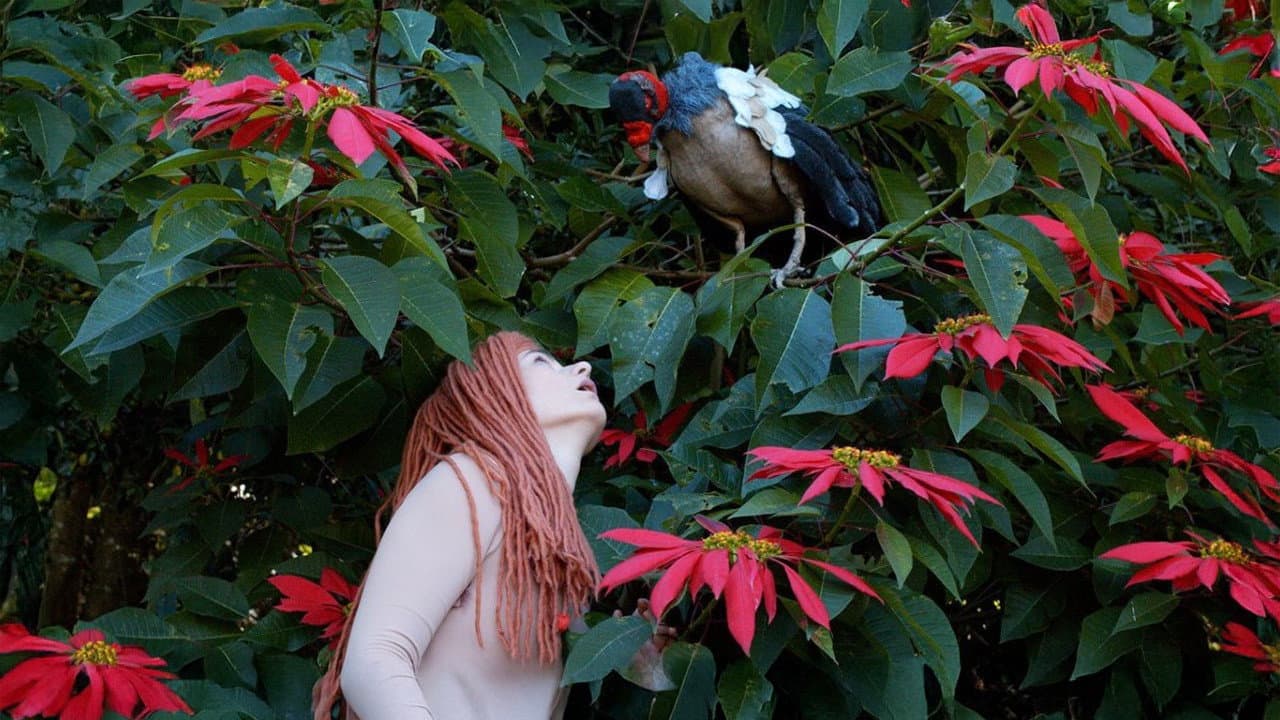 Eurydice El-Etr