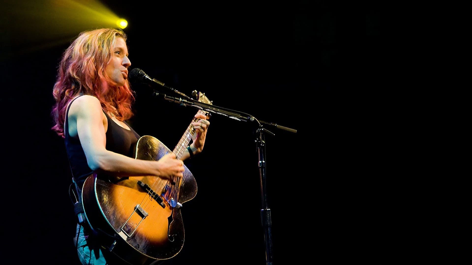 Ani DiFranco