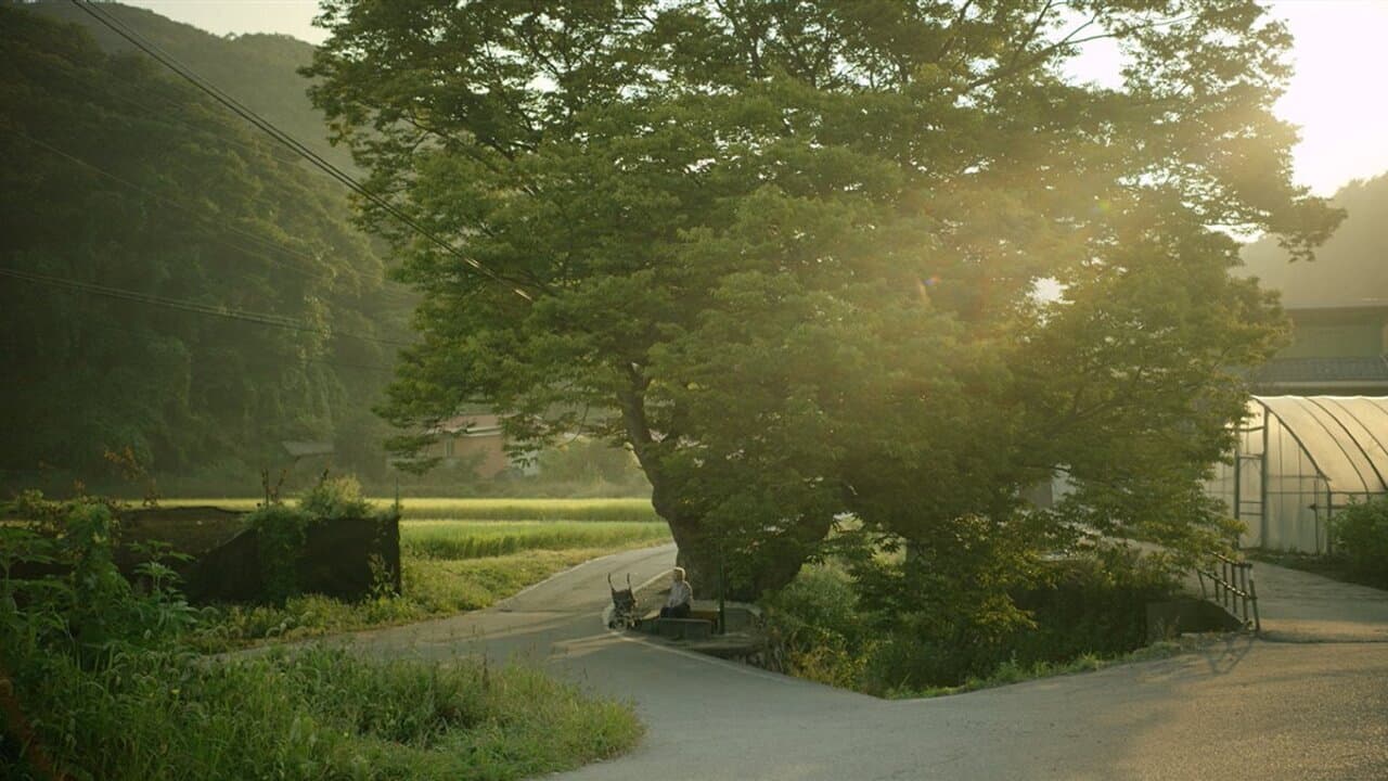 Park Jeong-sook