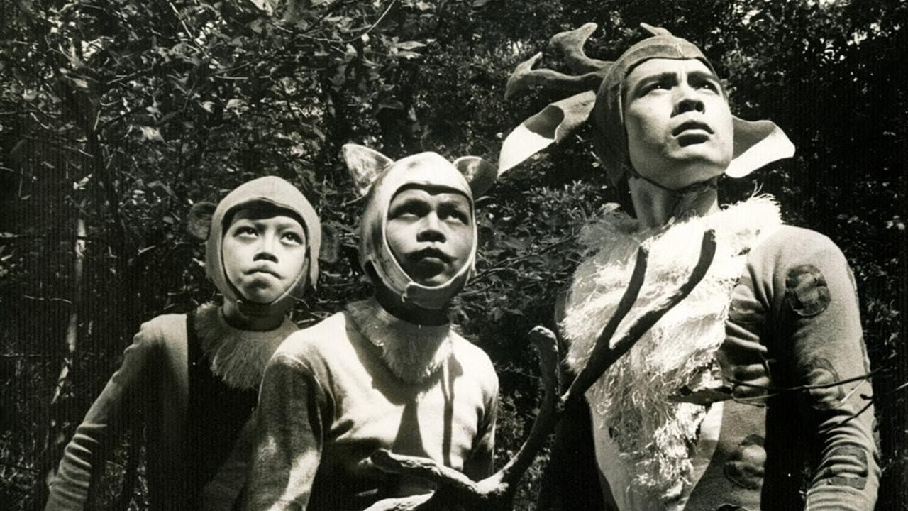 Pai Hung
