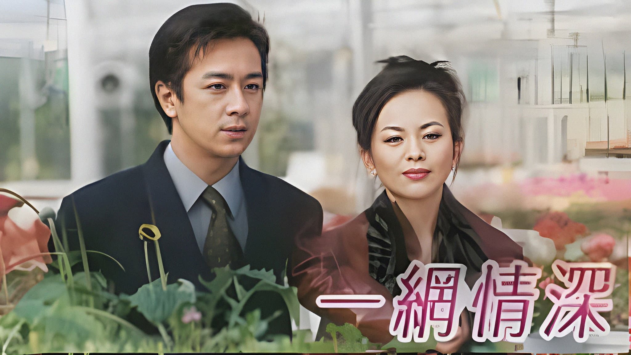 Network Love Story