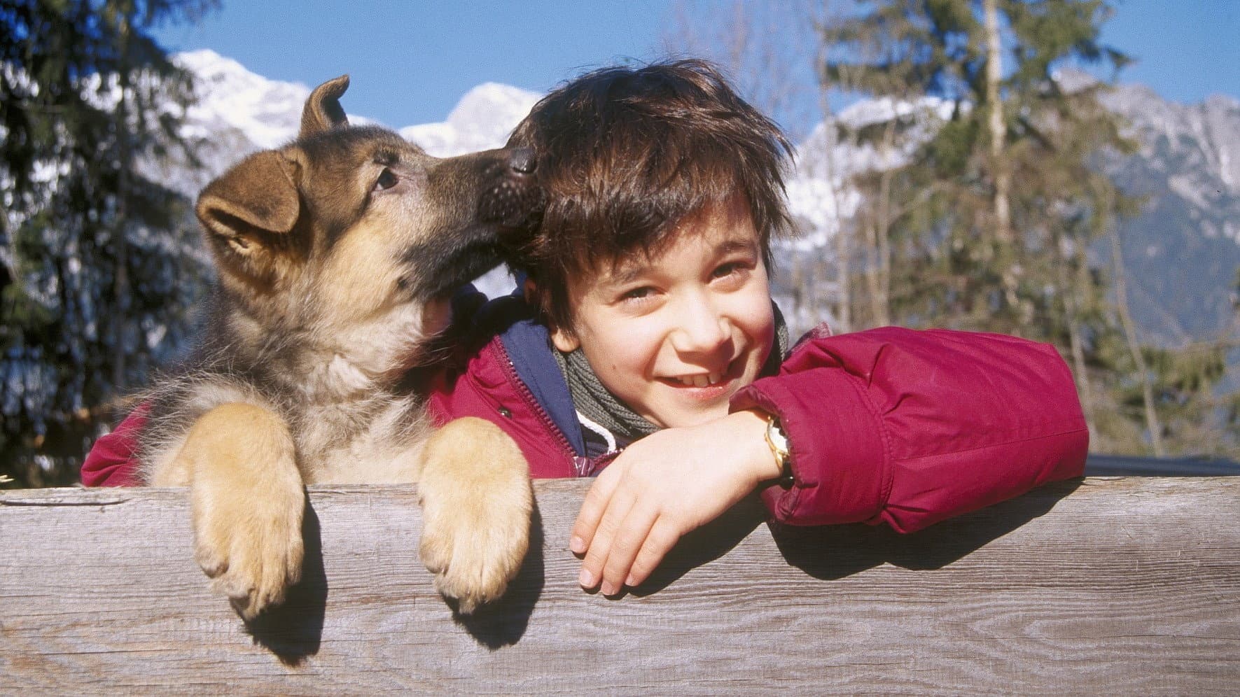 Marcus Siebert
