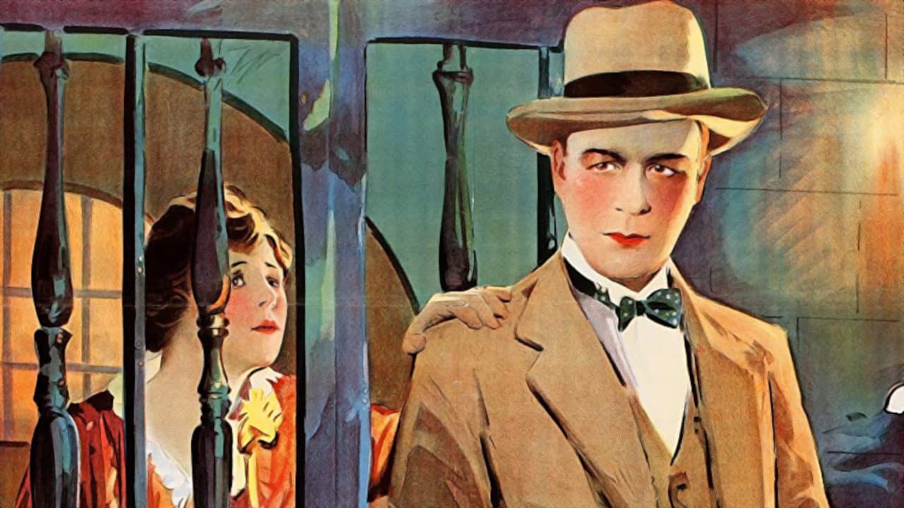 Violet N. Cane