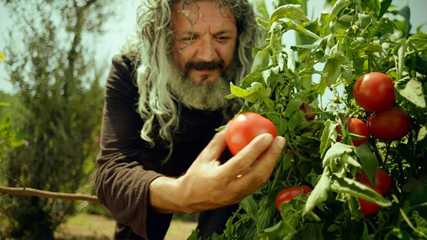 Kemal Kuruçay