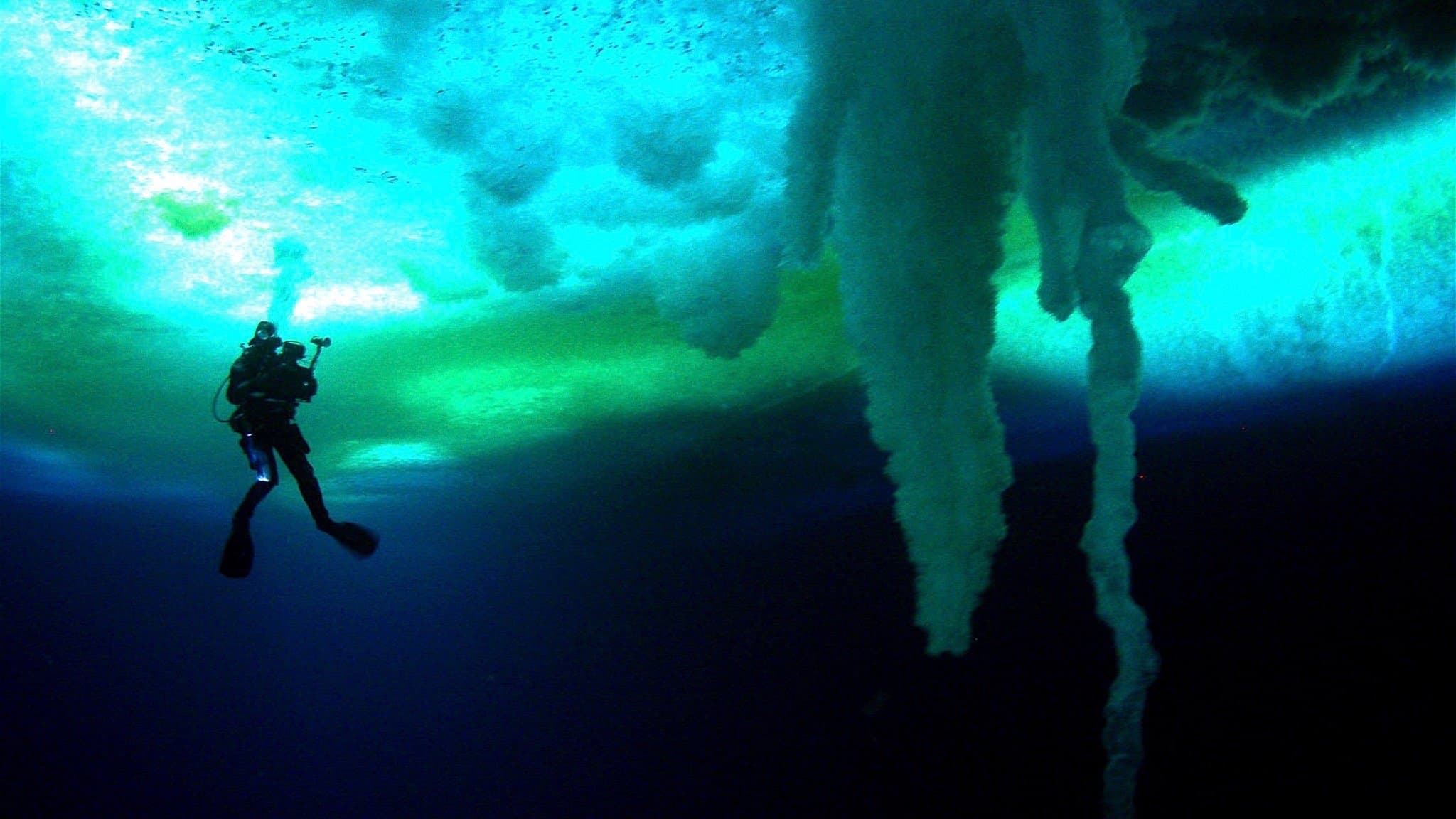 Ernest Shackleton