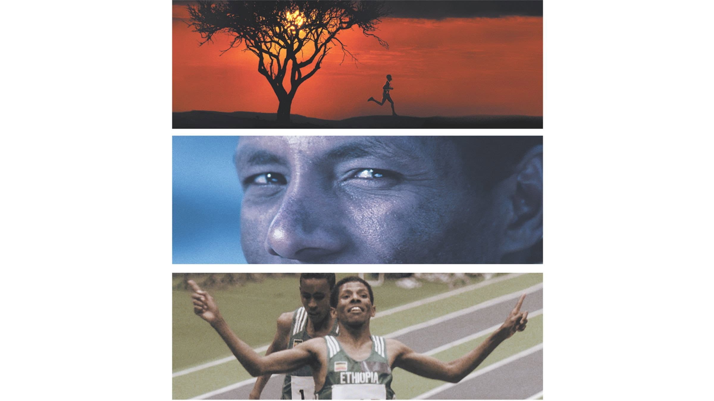 Haile Gebrsellasie