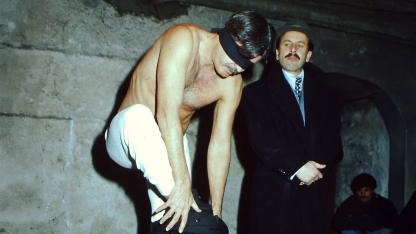 Şükrü Türen