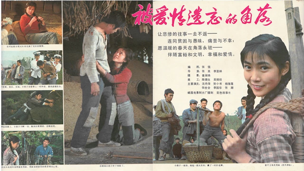 Shihui Zhang