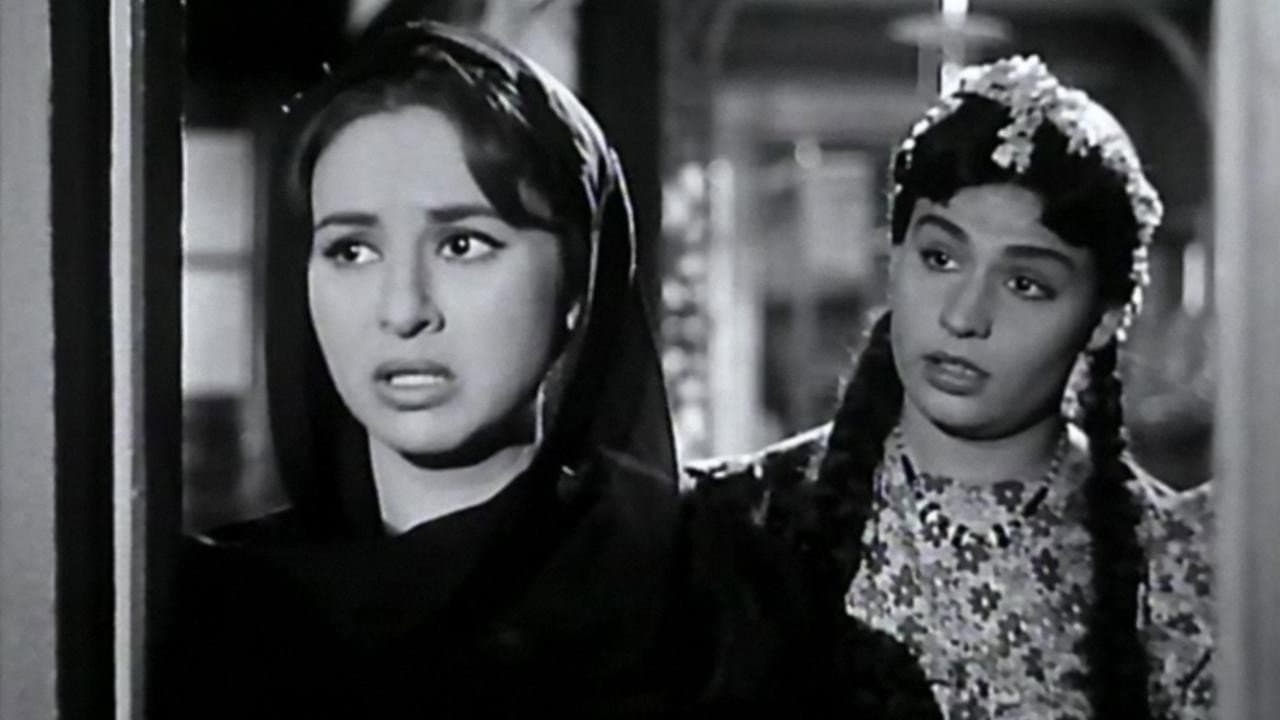 Salwa Ezz El-Din