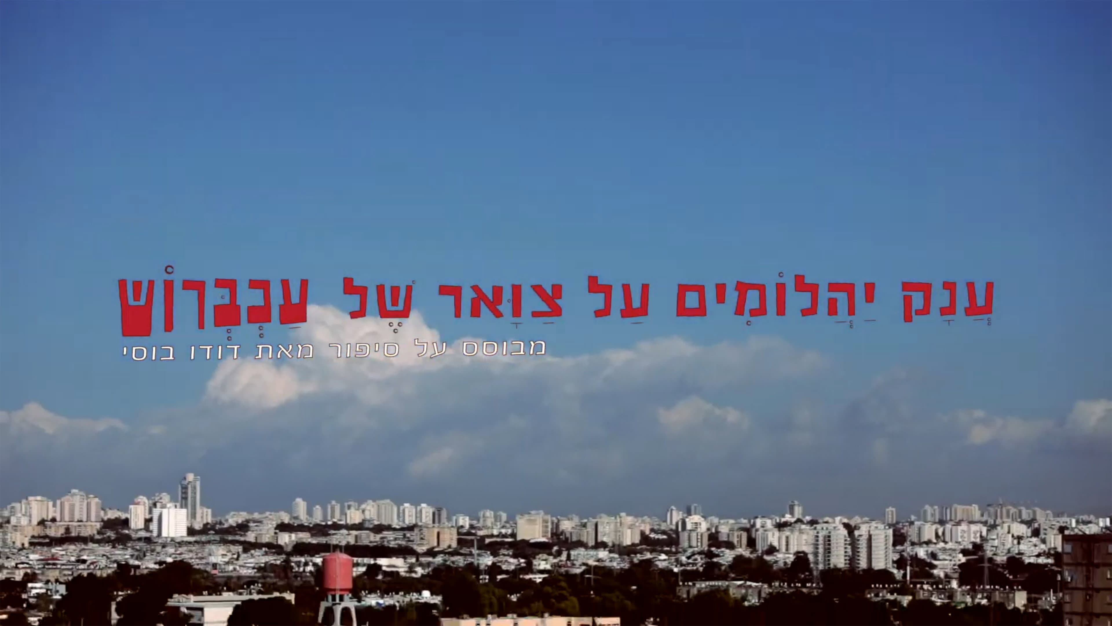 Shai Zabib