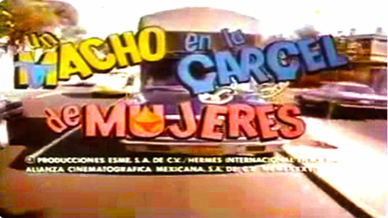Arlette Pacheco