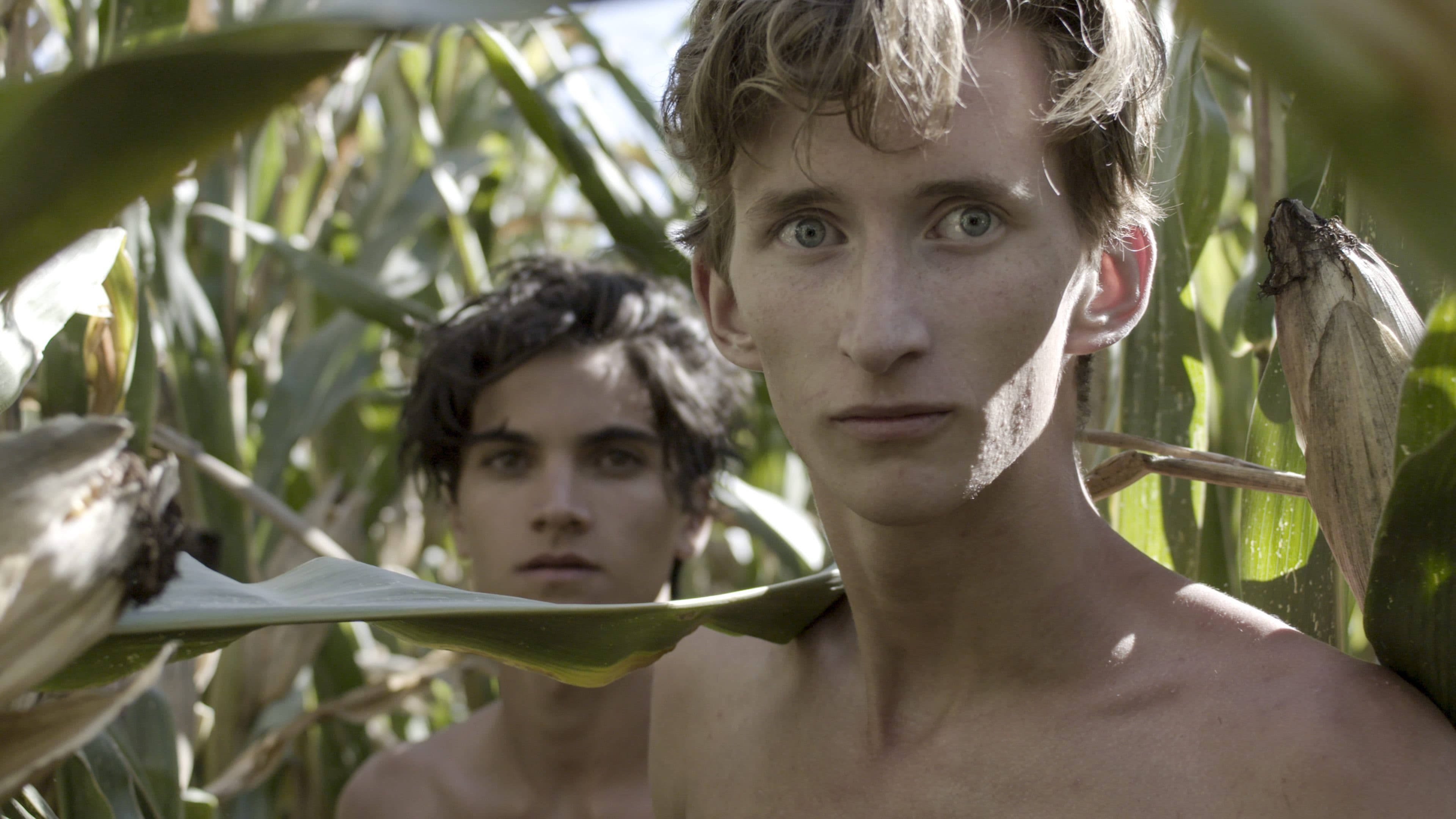 Nico Naldini