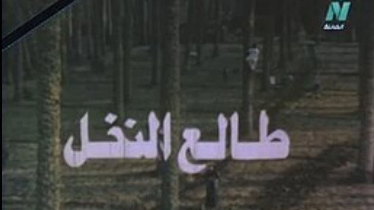 Ahmed El Demerdash