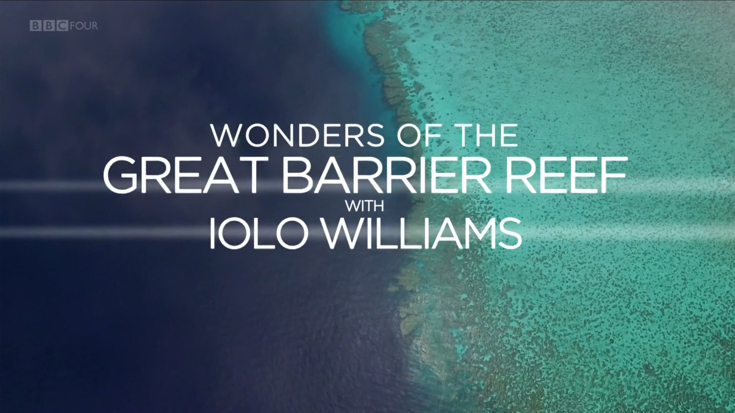 Iolo Williams