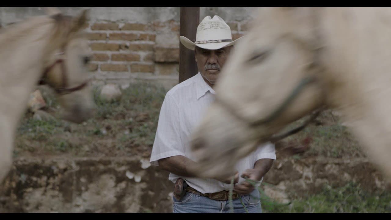 Cuca Bolaños Becerra