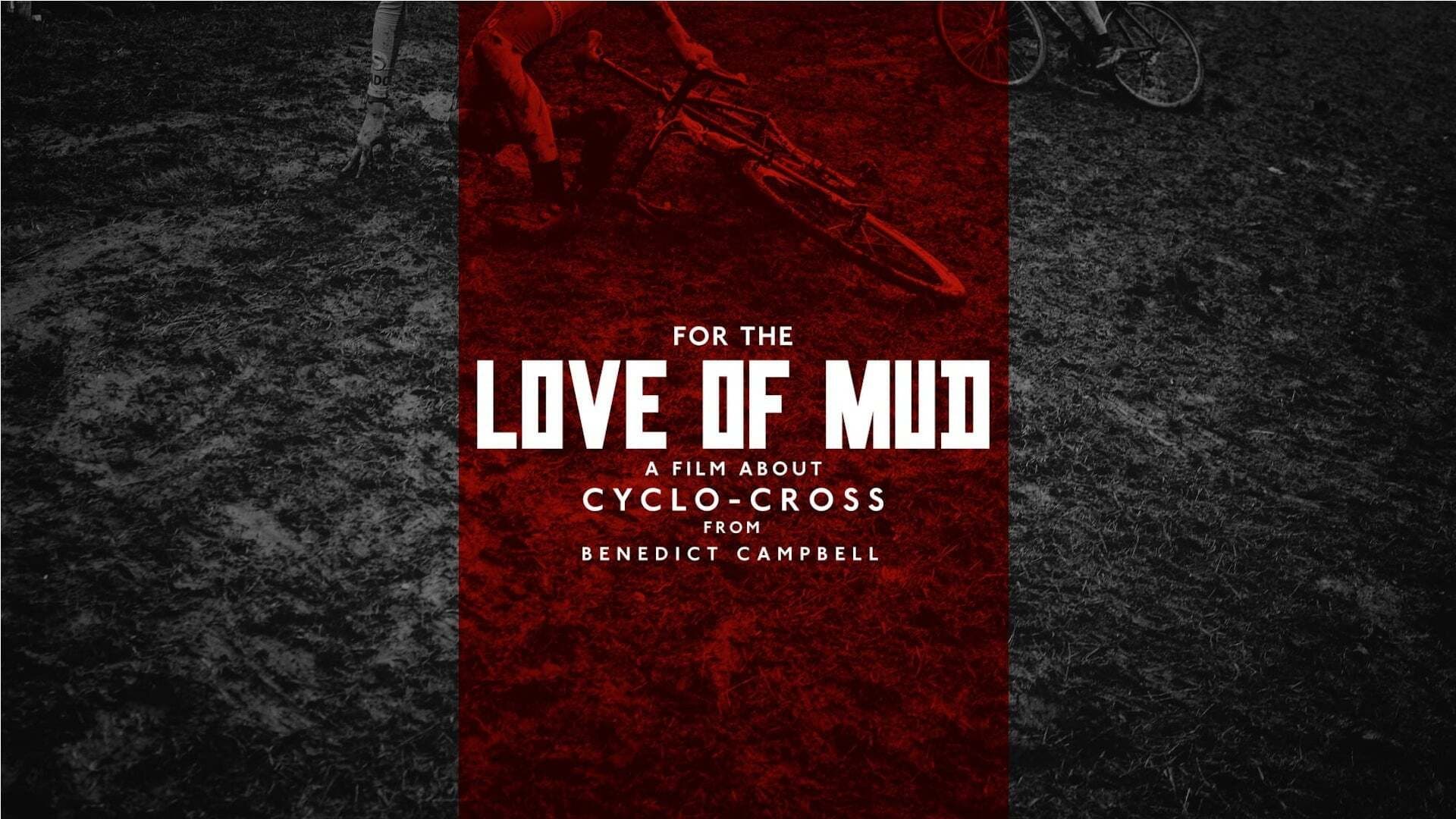Sven Nys