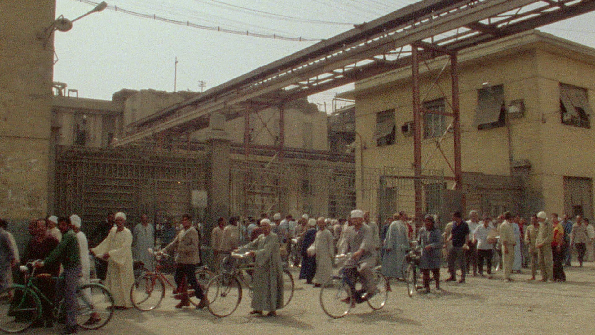 Bahgat Elnadi