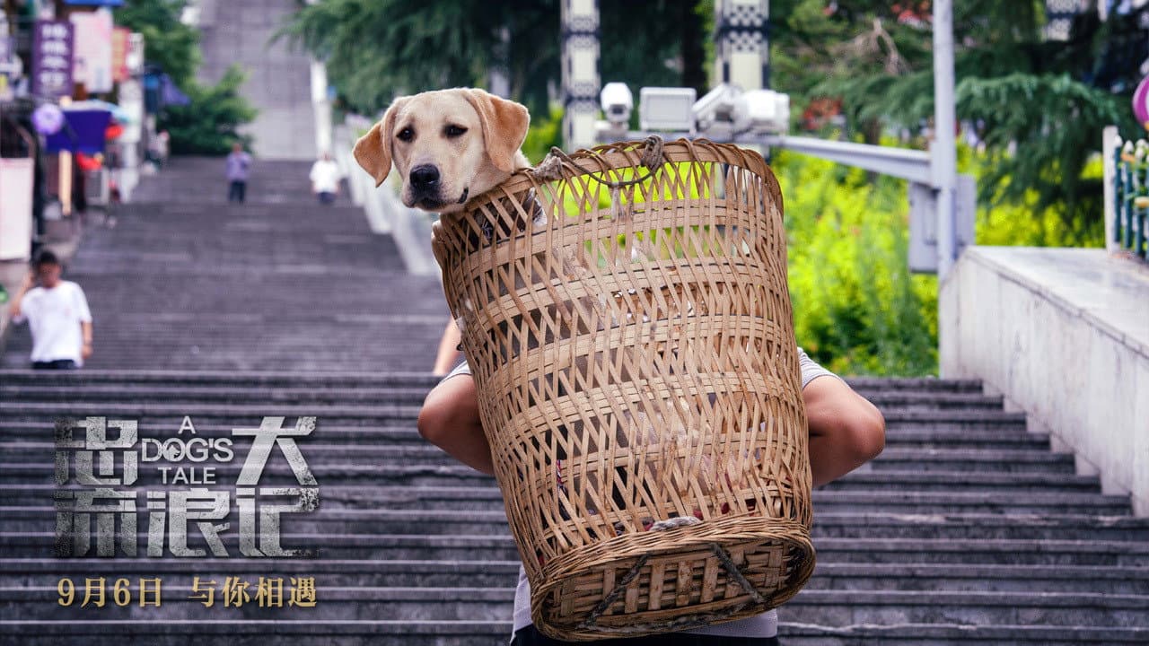 Zhang Hao