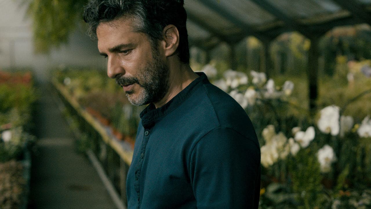 Marco Dutra