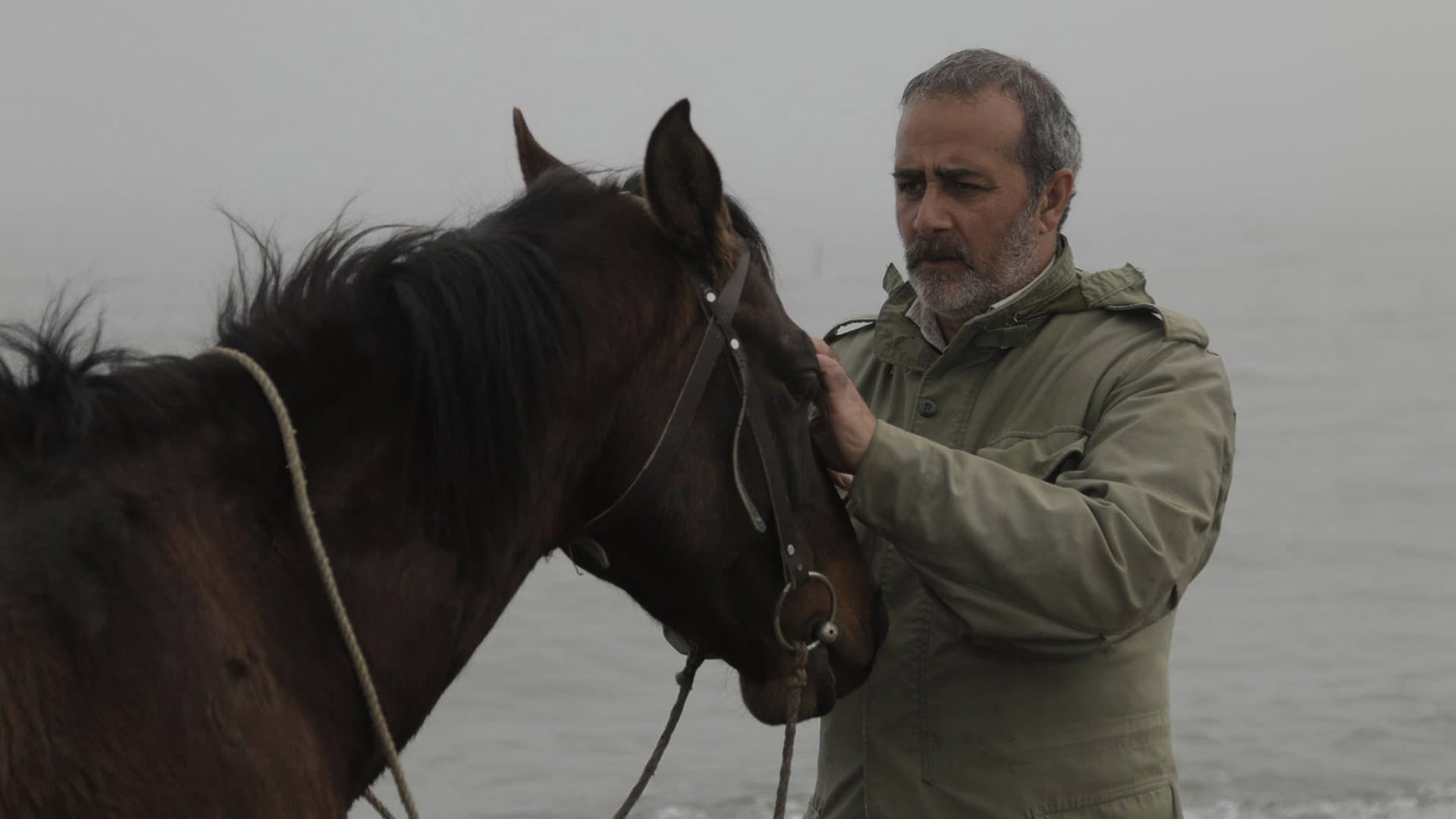 Yousef Yazdani