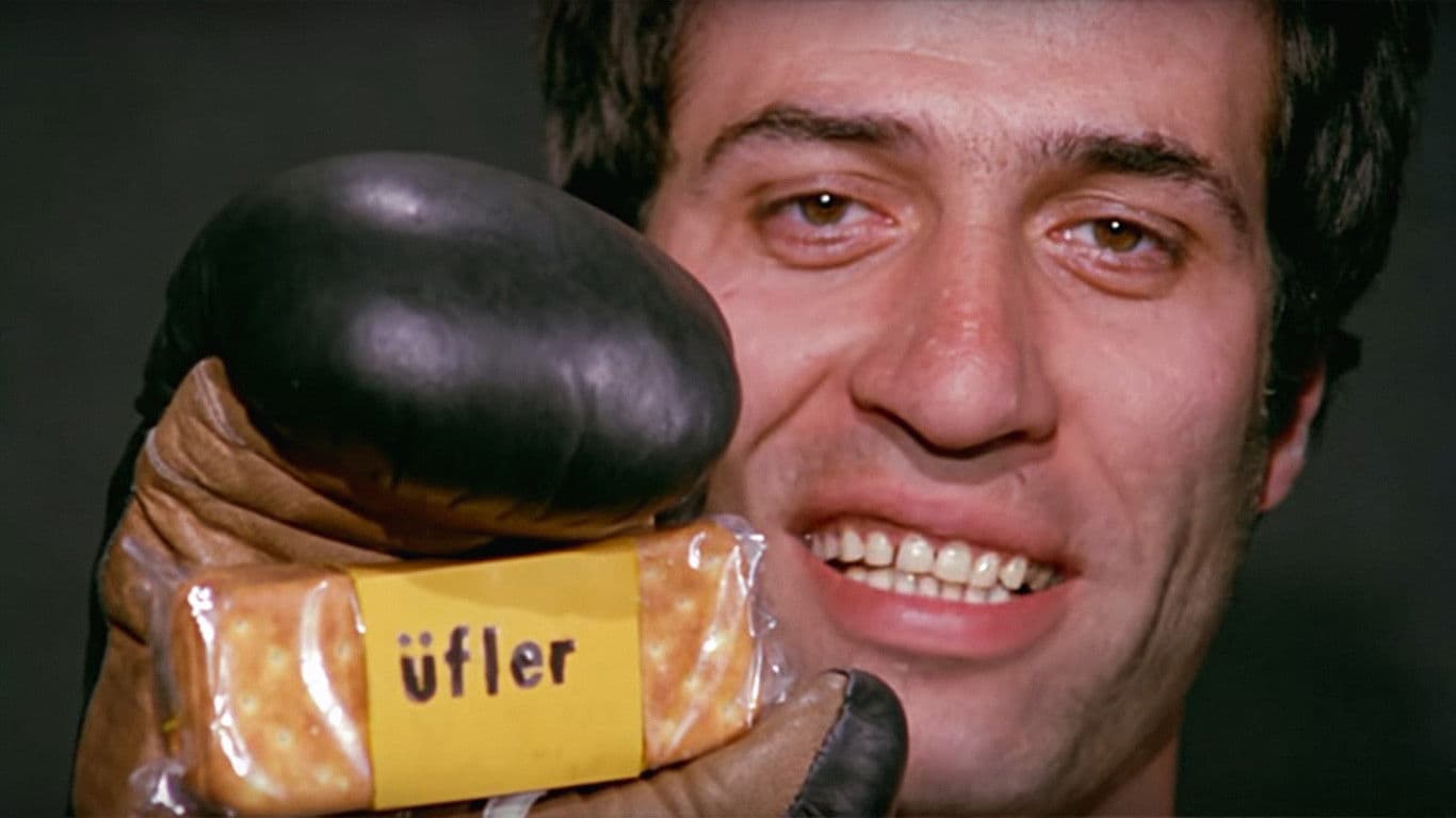 Mehmet Uğur