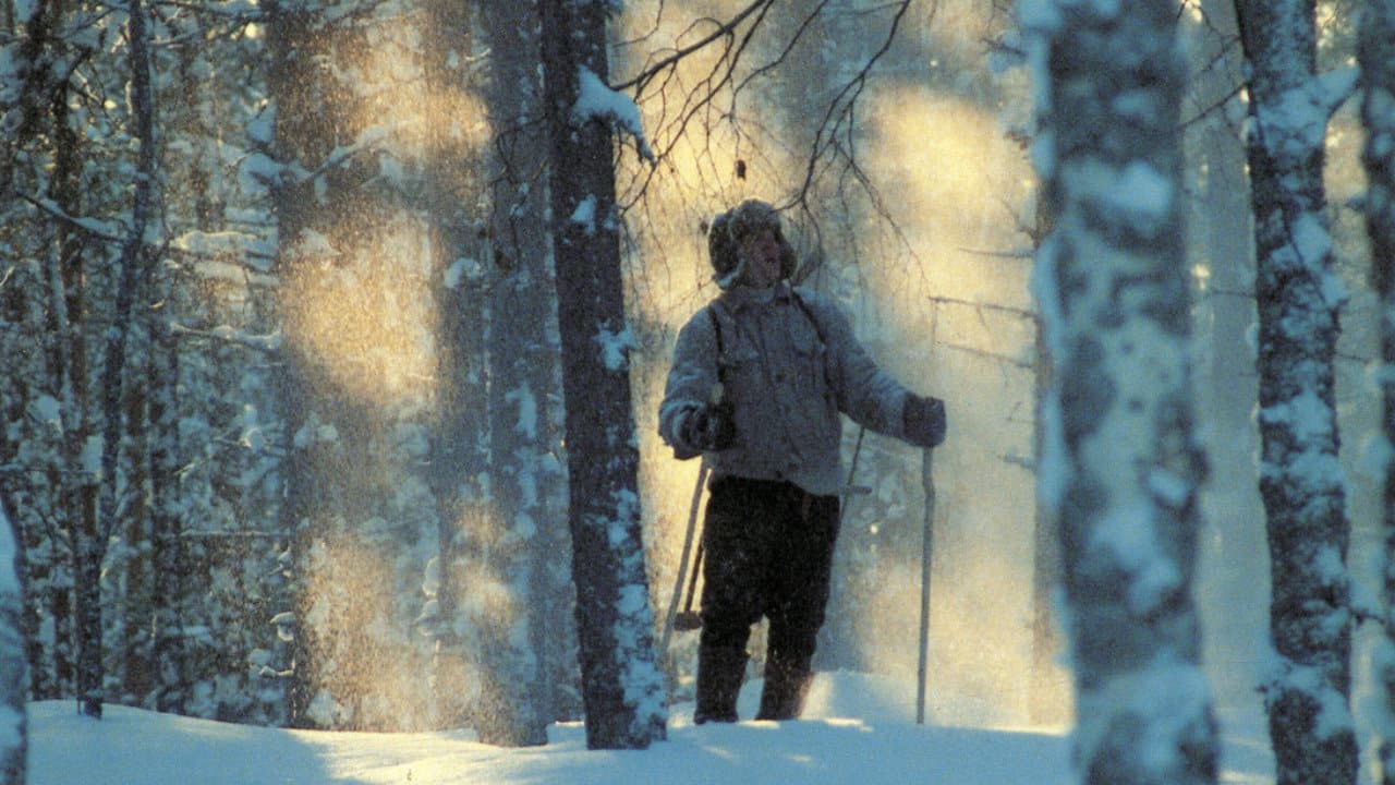 Sauli Seppälä