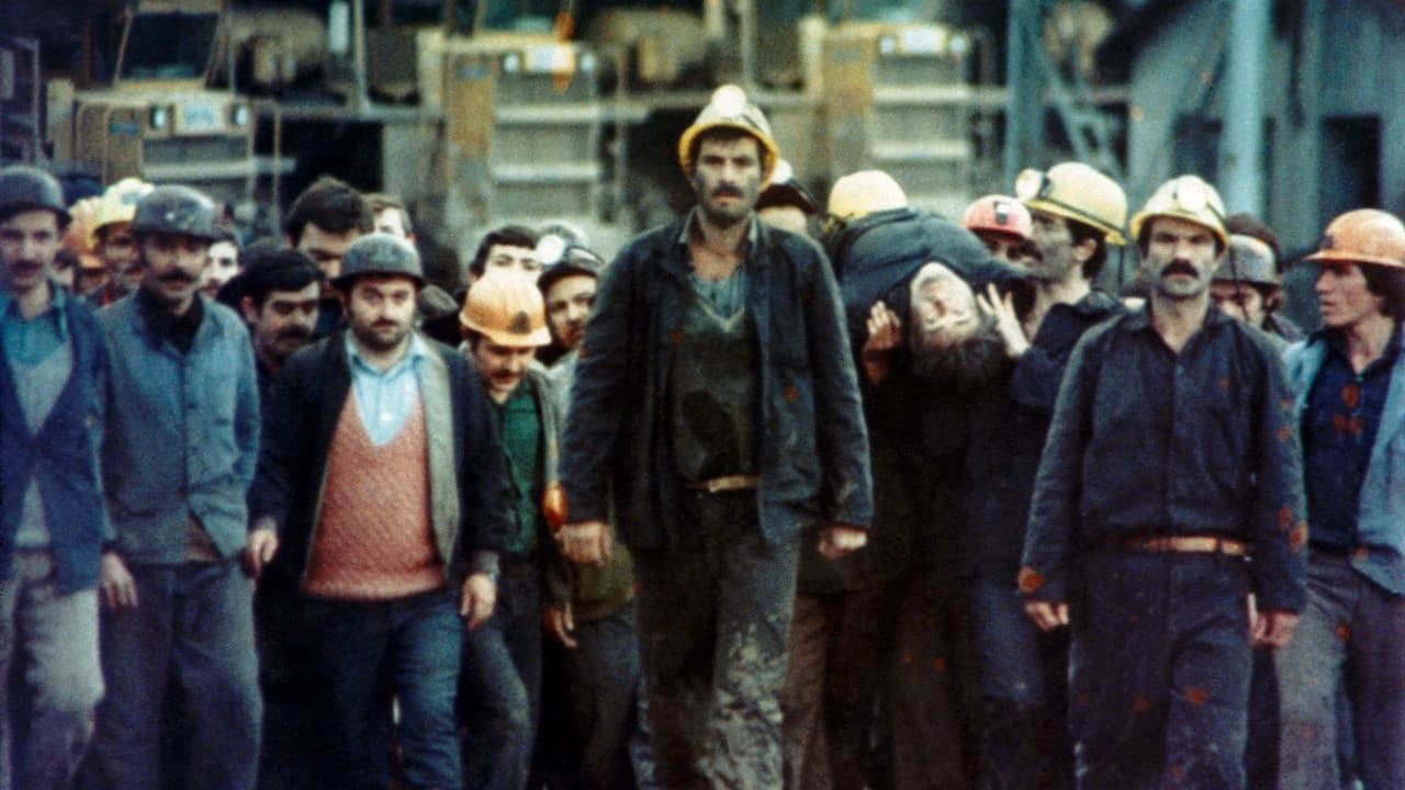 Şevki Erdal