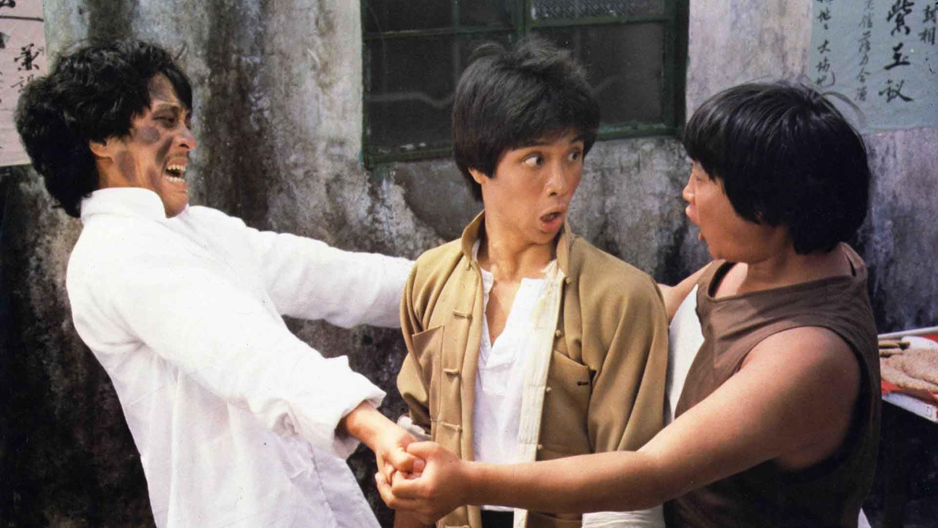 The Incredible Kung Fu Master