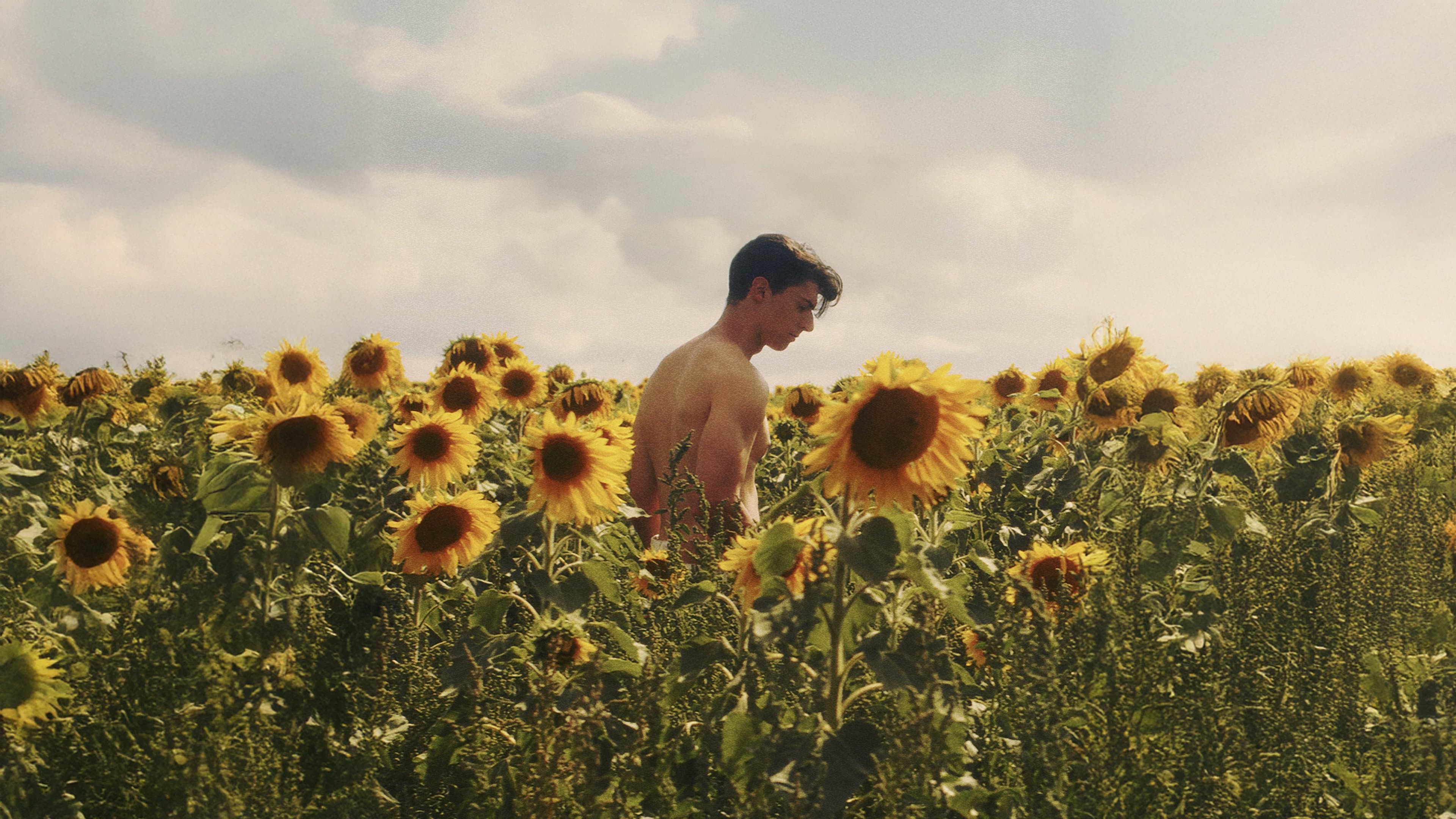 Luke J. Morgan