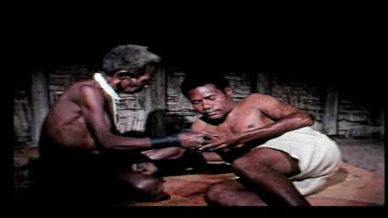 Anton Sil