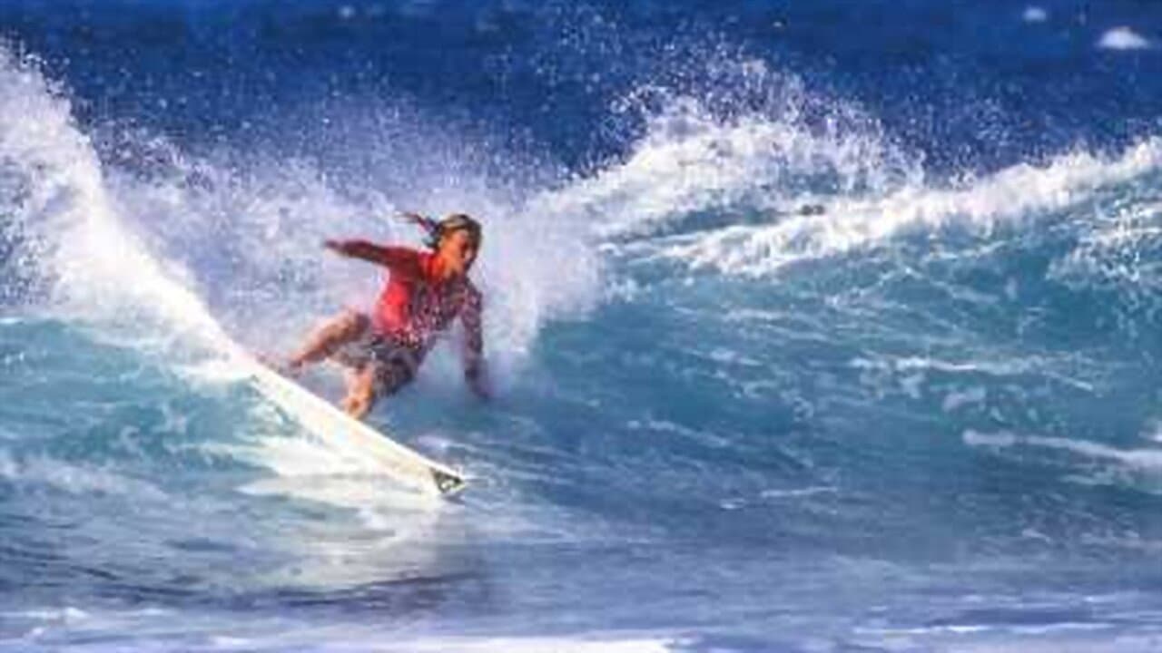 Lisa Andersen