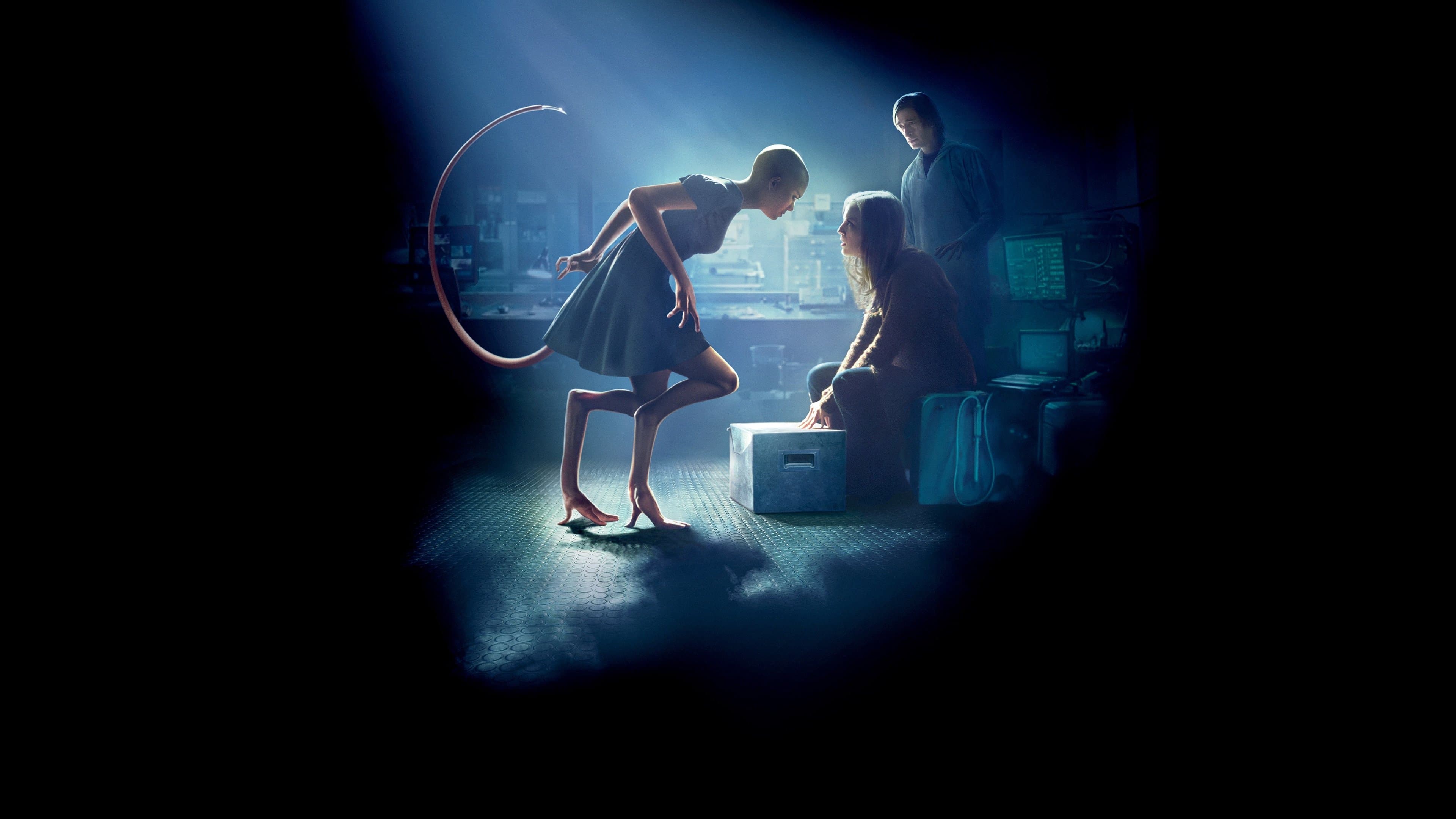 Brandon McGibbon