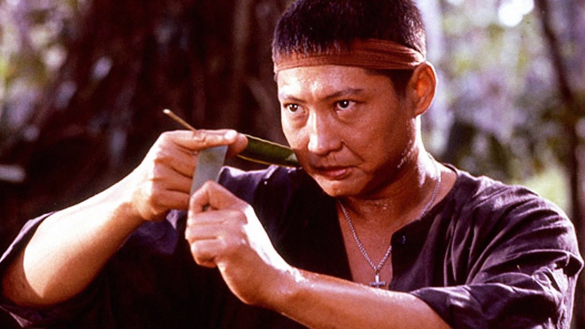 Andy Tai Chi-Wai