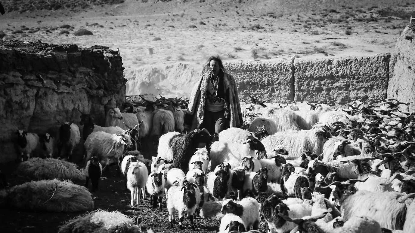 Yangchuk Tso