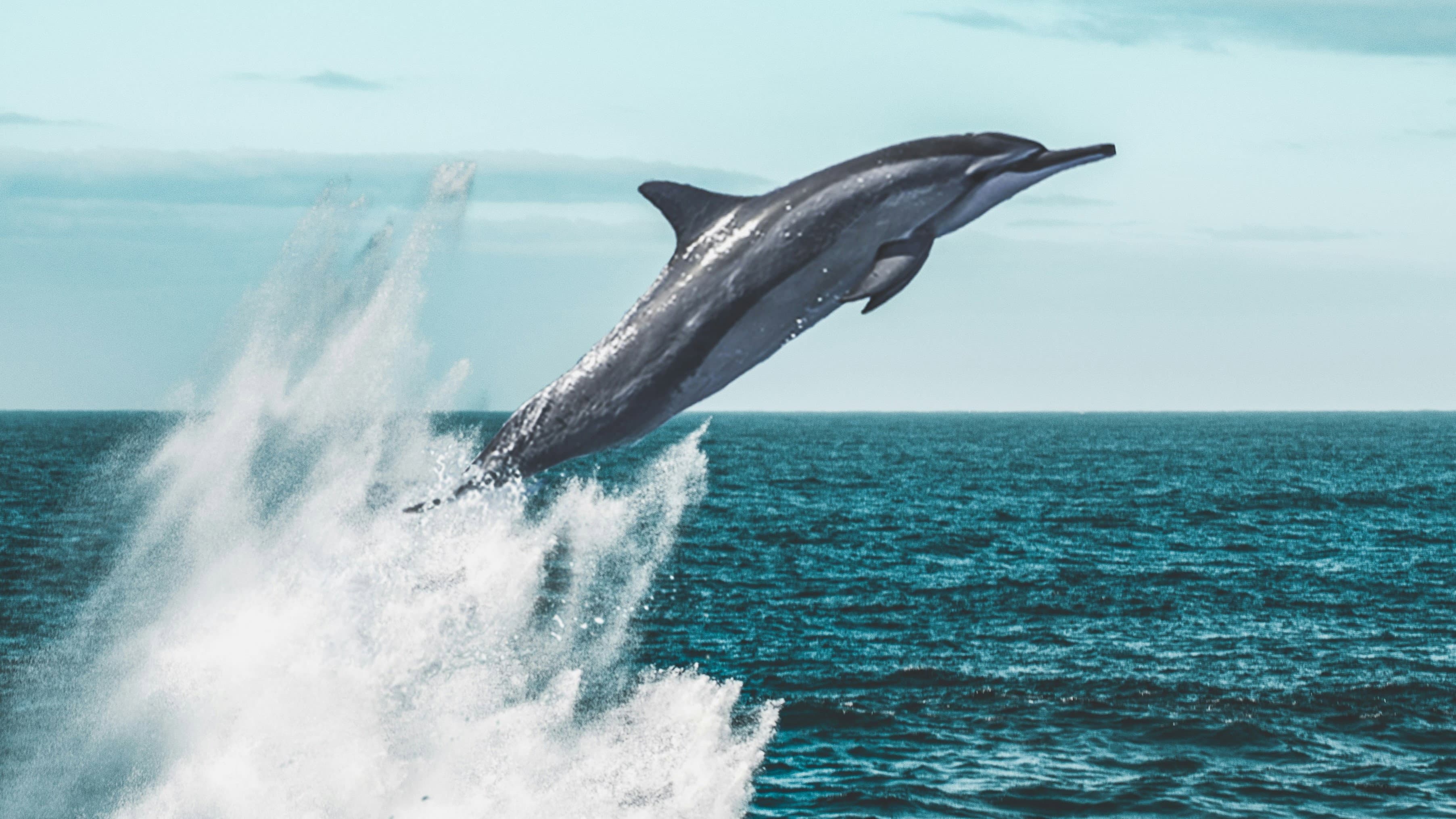 Living Waters