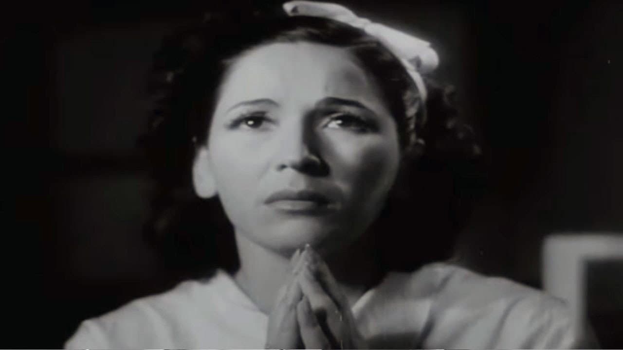 Cecilia Laimaro