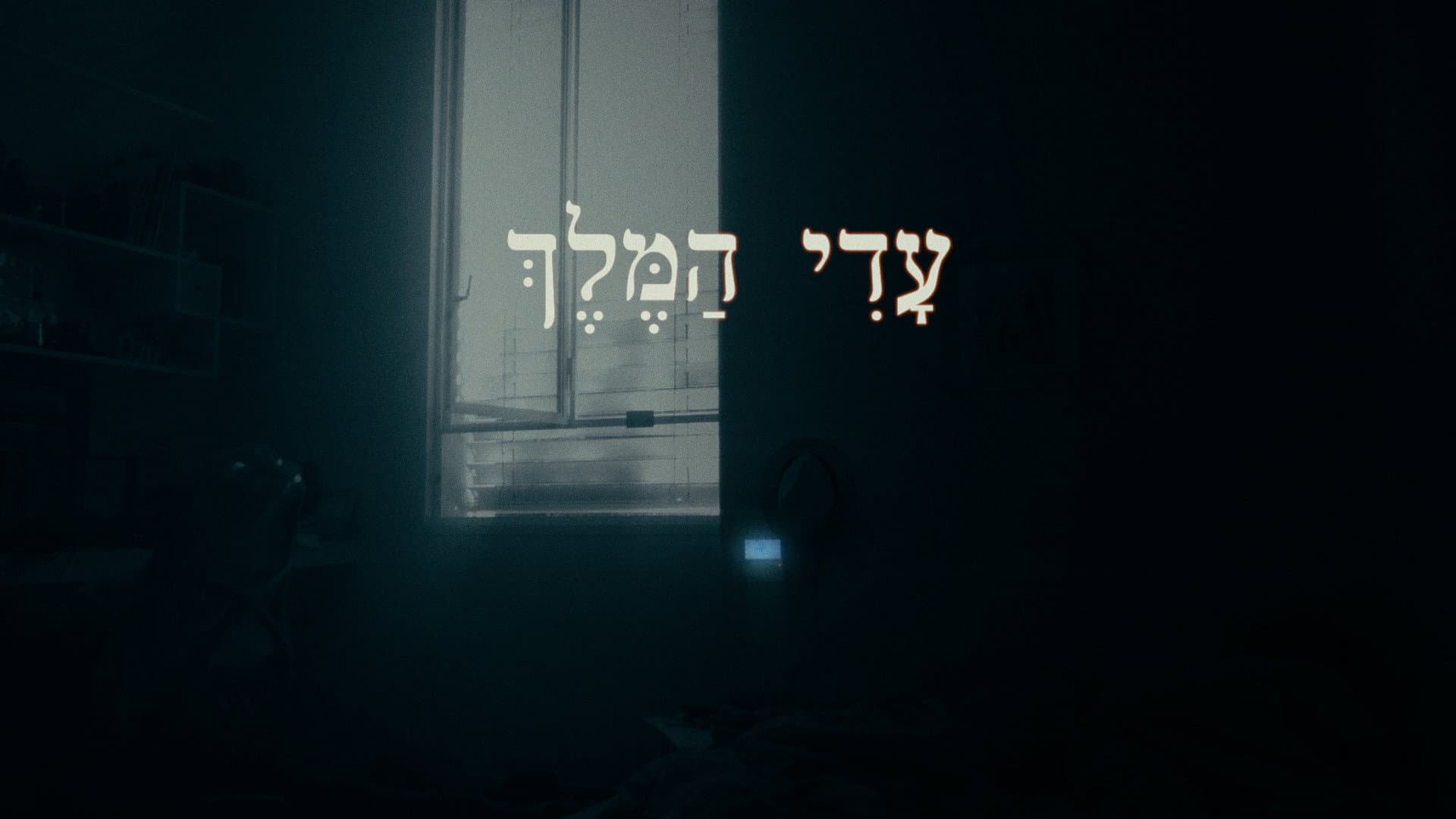 Noam Zadikario