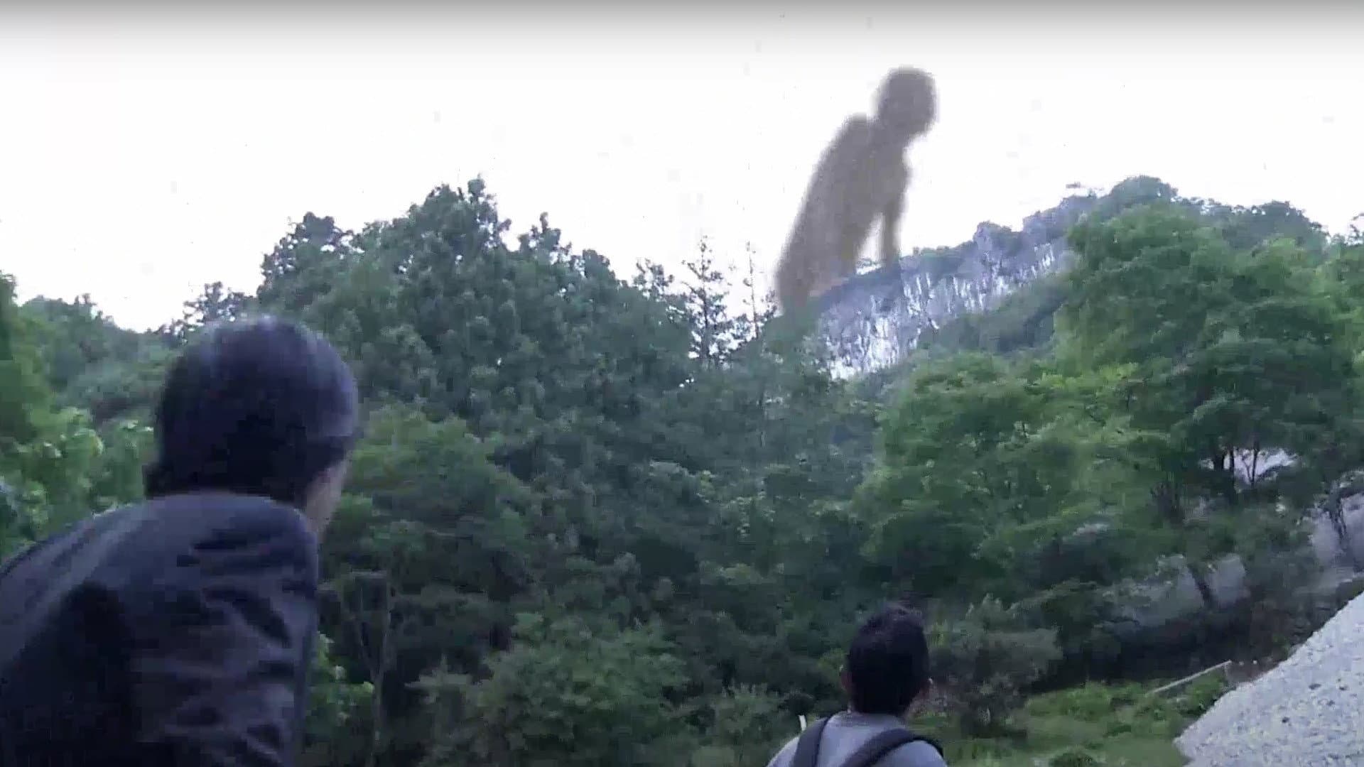 Takeo Gozu