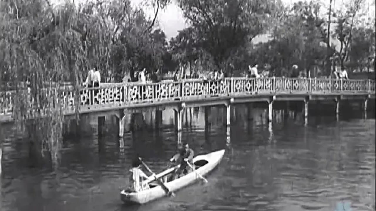 Zengqing Liu