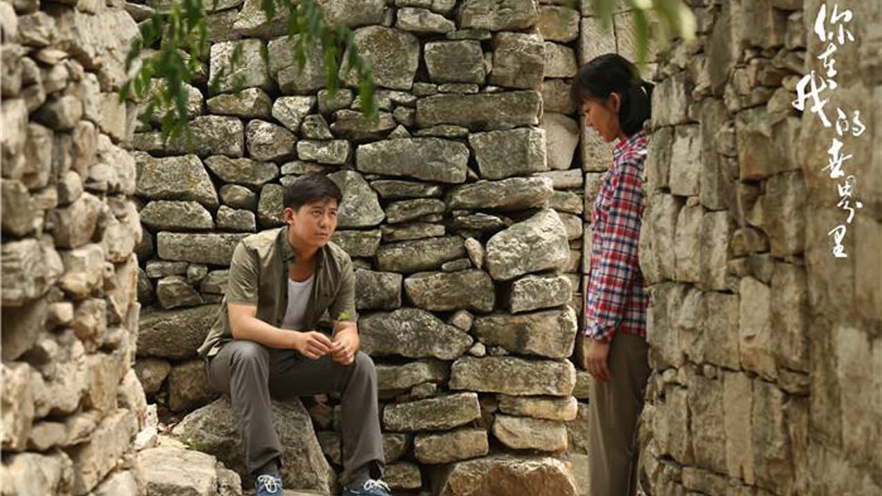 Qi Jingbin