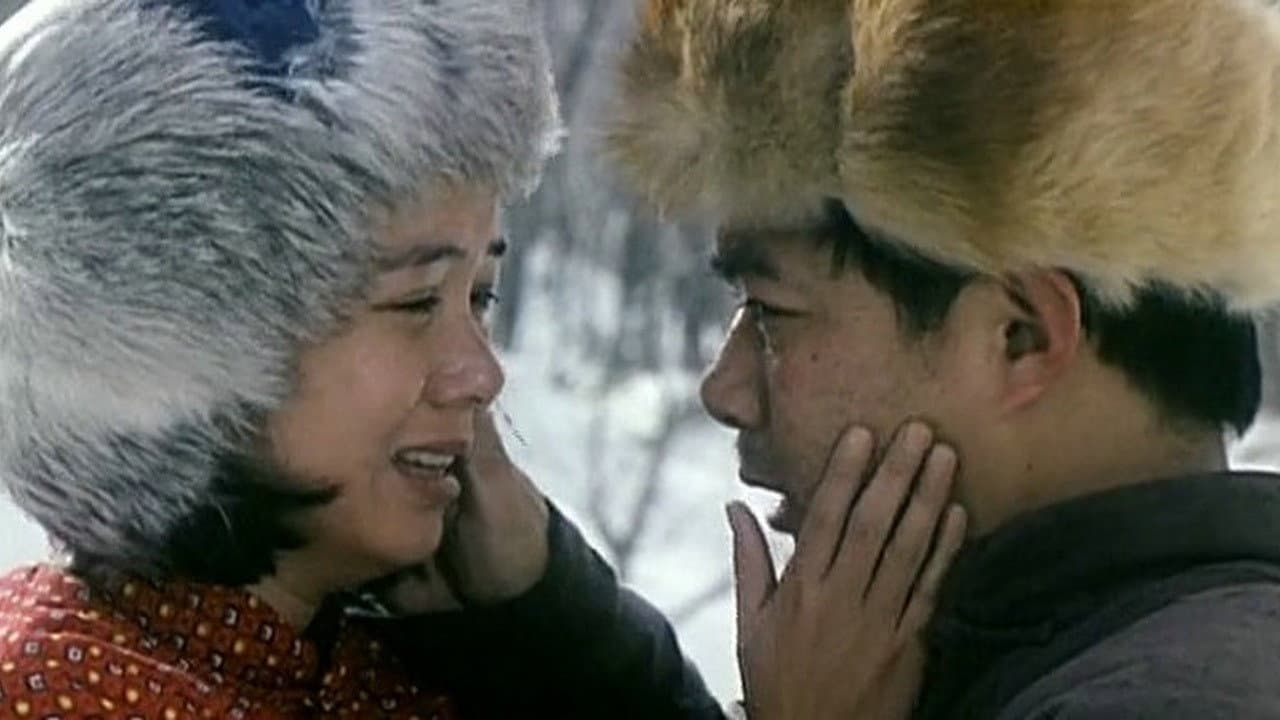 Jiang Wenli