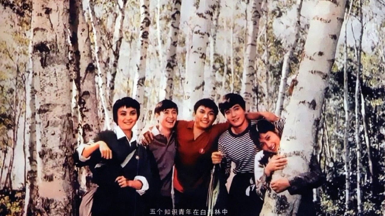Xiaogang Lü