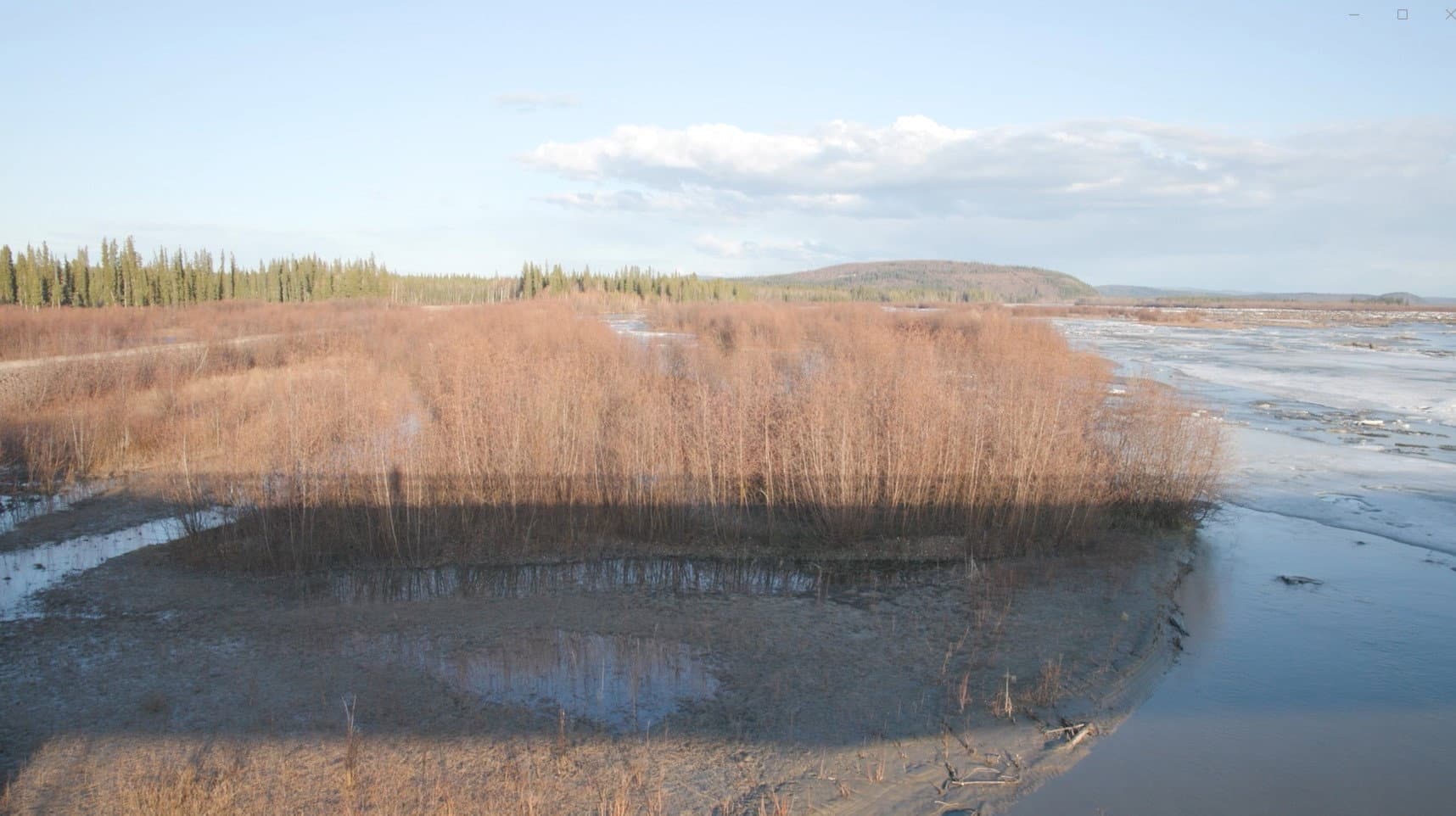 Teslin Brannan
