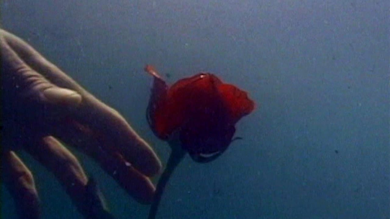 Eric Newton