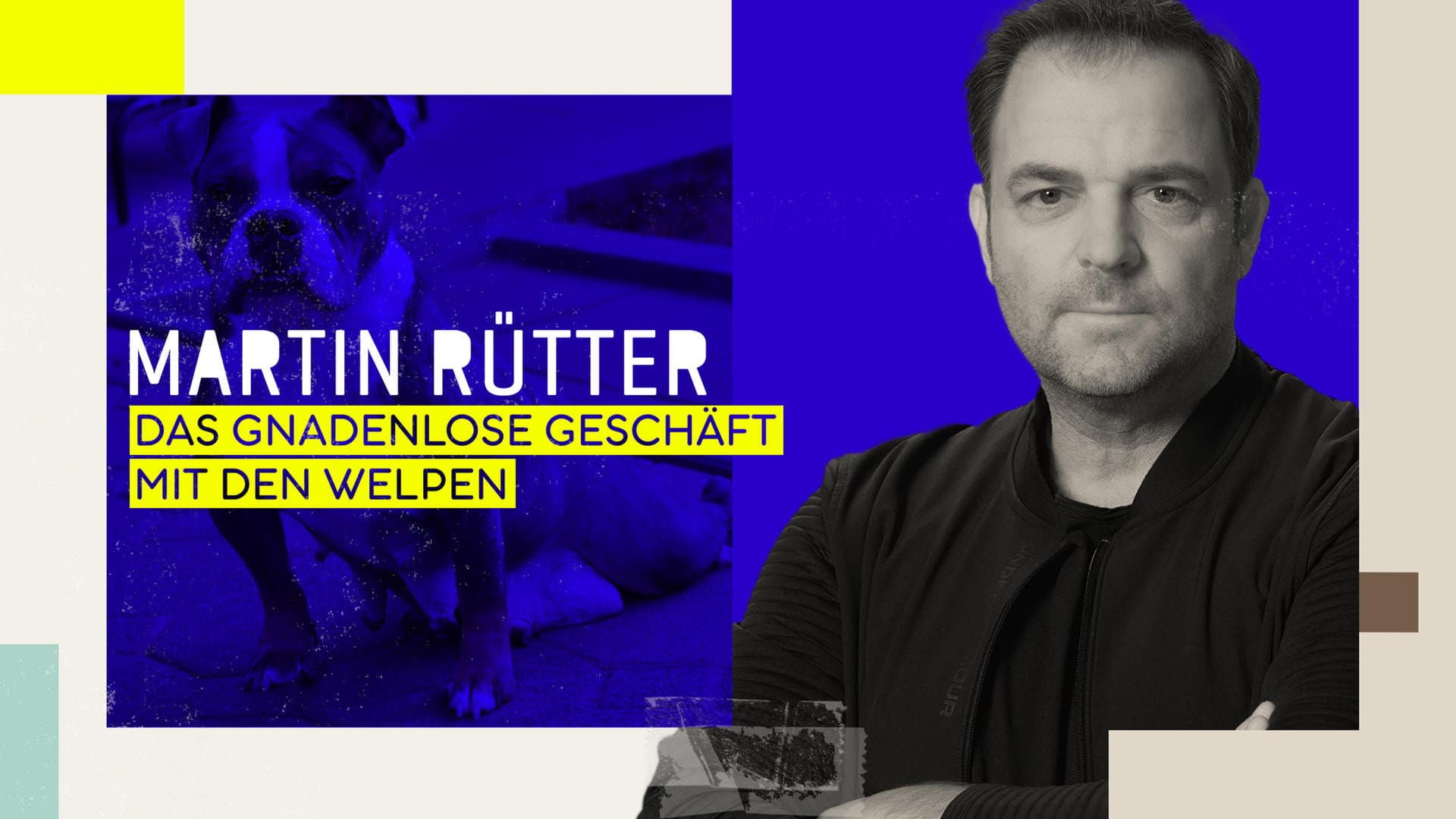Martin Rütter