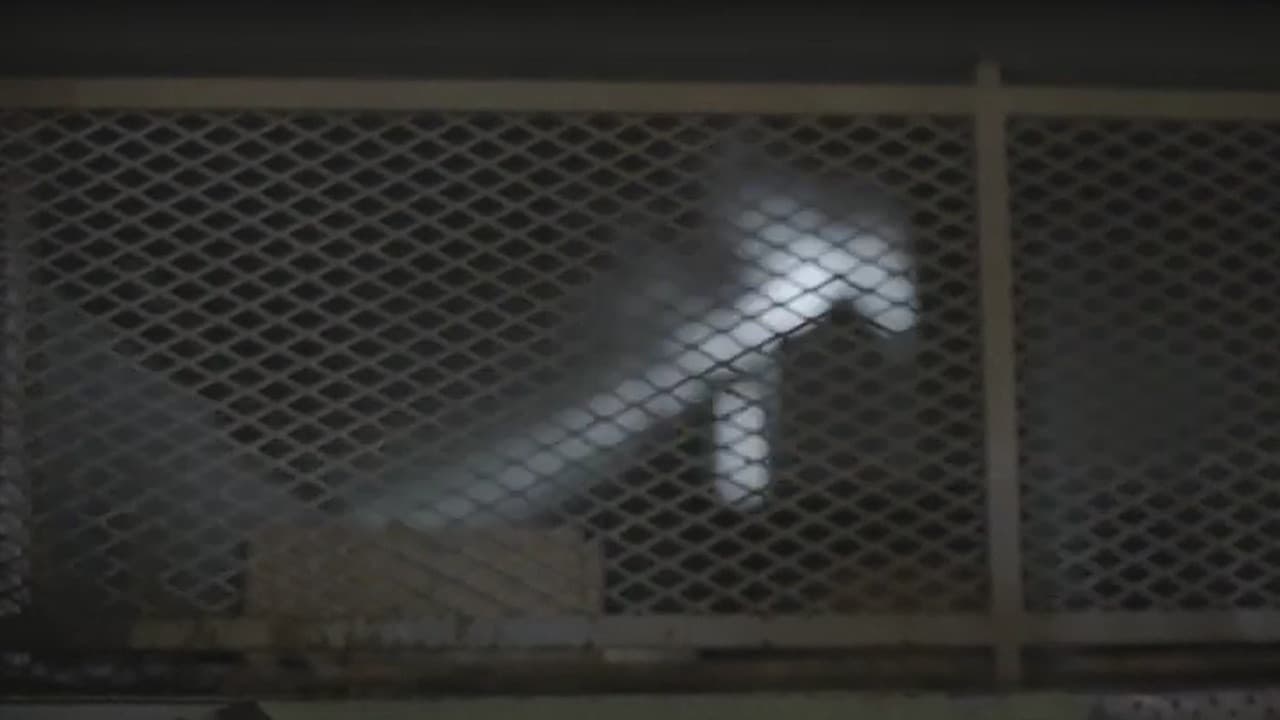 Lugo Angel