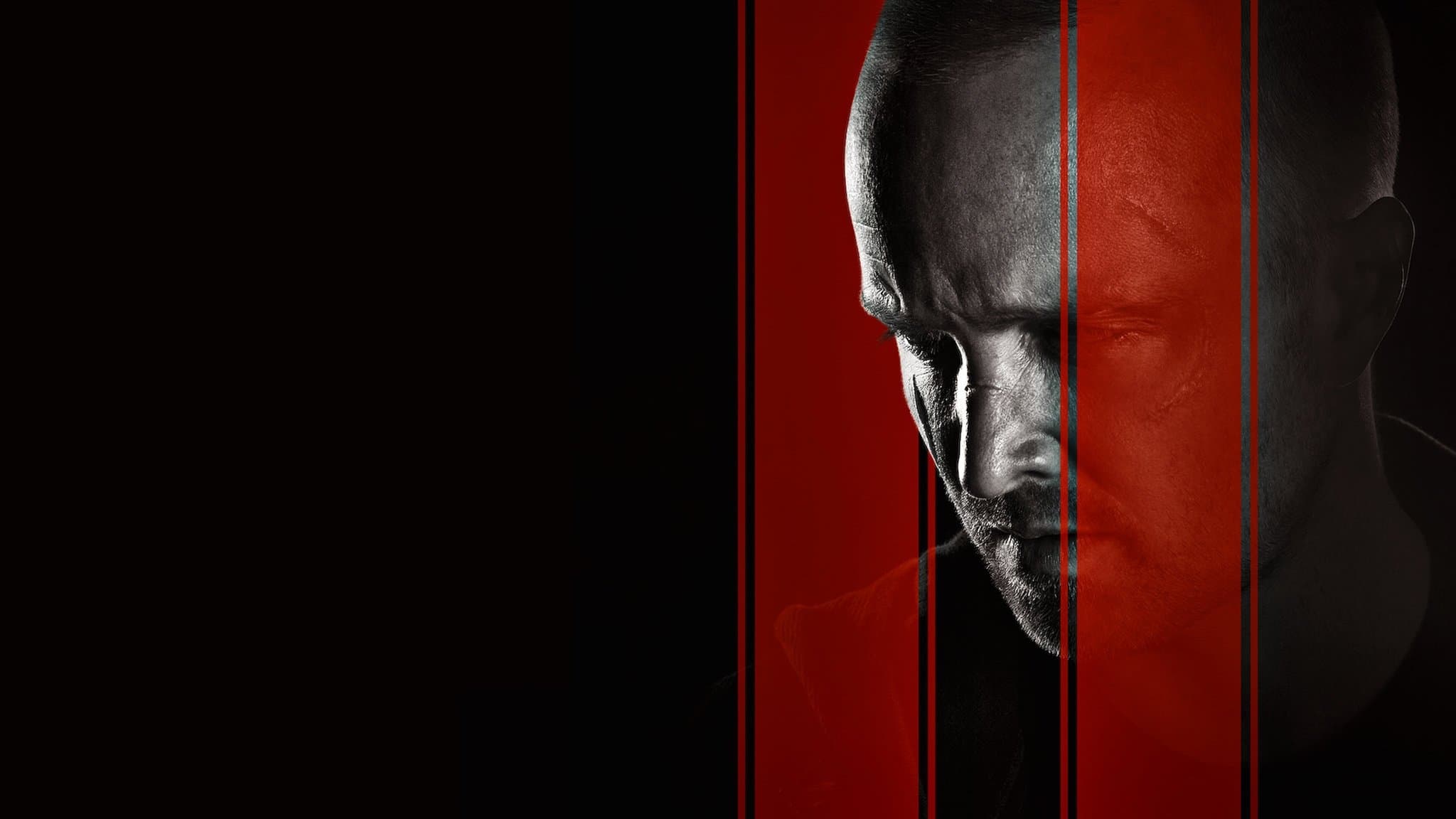 Alison Law