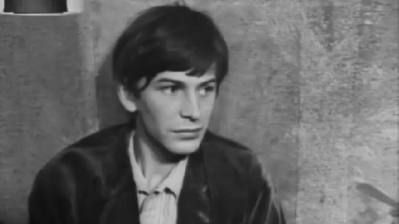 Vladimir Tsarkov