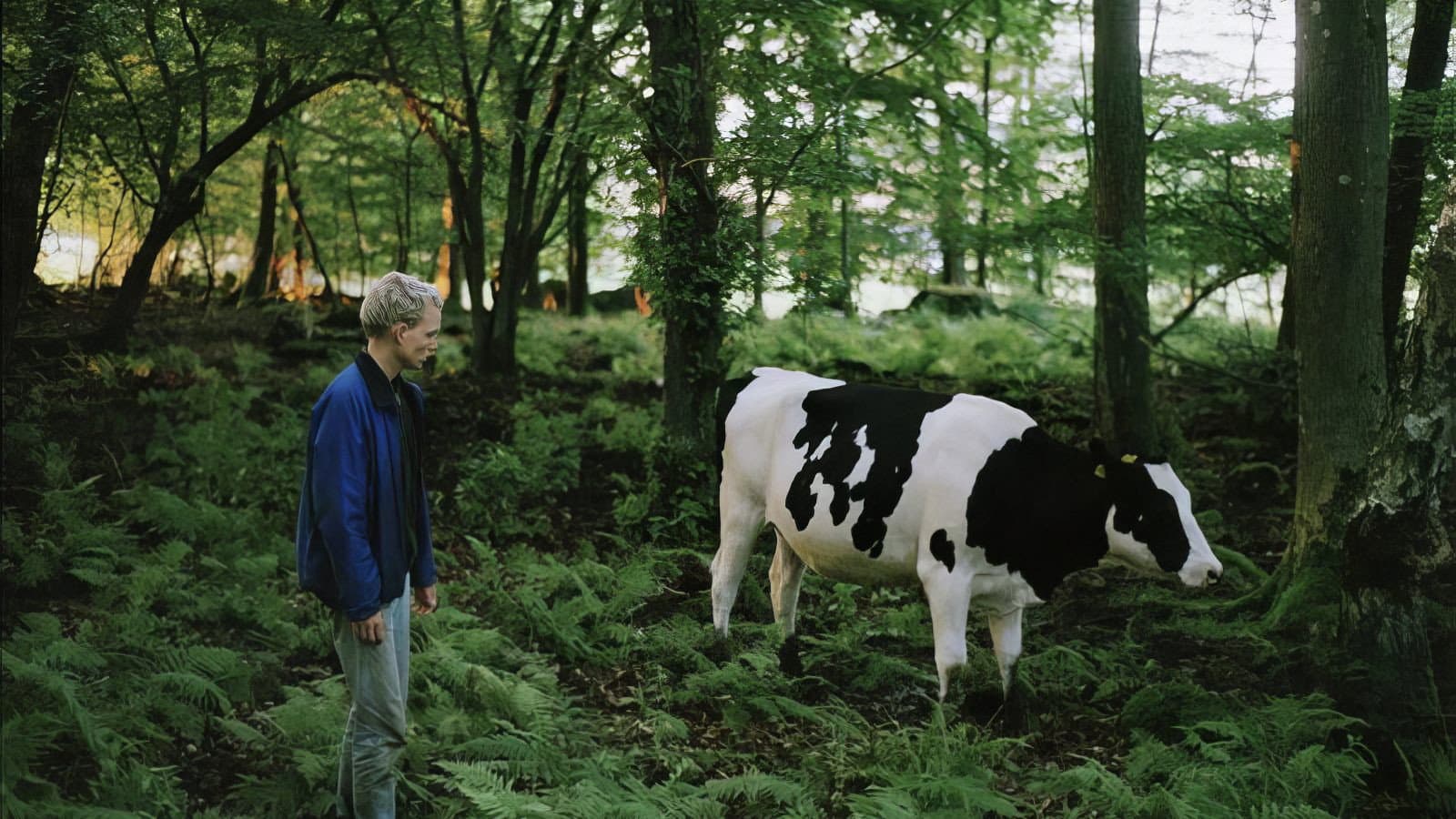 Aron Skoog